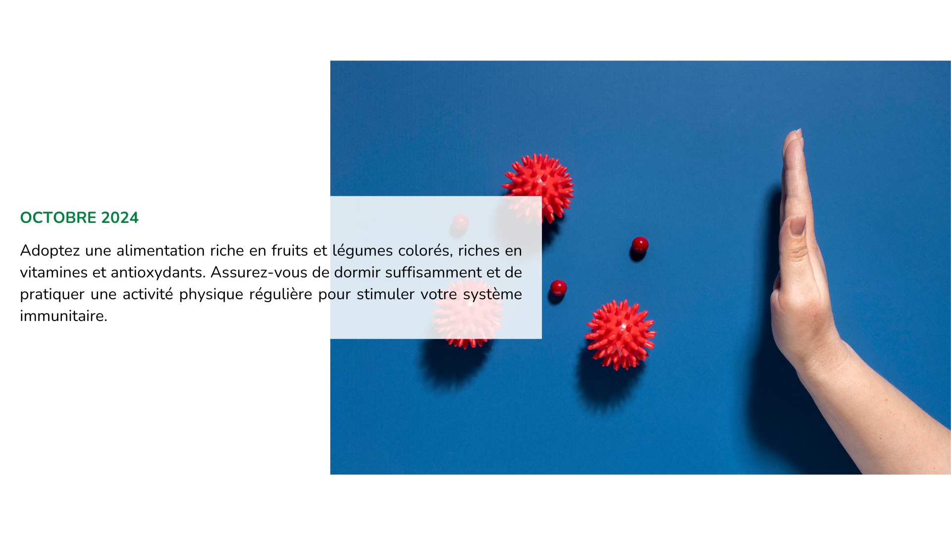 Conseil - Octobre - Défenses immunitaires - Pharmacie sous l'Église